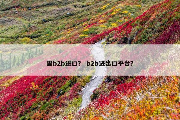 里b2b进口？ b2b进出口平台？