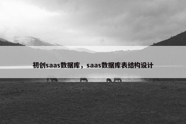 初创saas数据库，saas数据库表结构设计