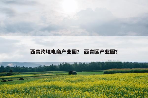 西青跨境电商产业园？ 西青区产业园？