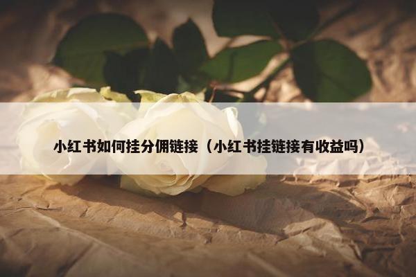 小红书如何挂分佣链接（小红书挂链接有收益吗）