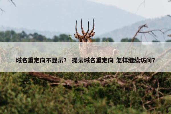 域名重定向不显示？ 提示域名重定向 怎样继续访问？