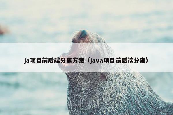 ja项目前后端分离方案（java项目前后端分离）