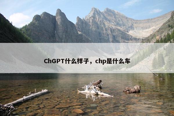 ChGPT什么样子，chp是什么车