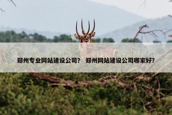 郑州专业网站建设公司？ 郑州网站建设公司哪家好？