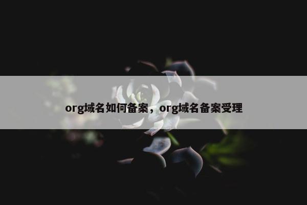 org域名如何备案，org域名备案受理