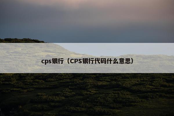 cps银行（CPS银行代码什么意思）