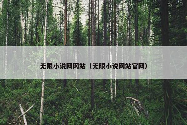 无限小说网网站（无限小说网站官网）
