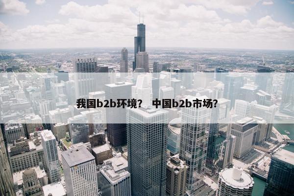 我国b2b环境？ 中国b2b市场？
