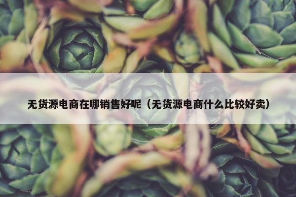 无货源电商在哪销售好呢（无货源电商什么比较好卖）