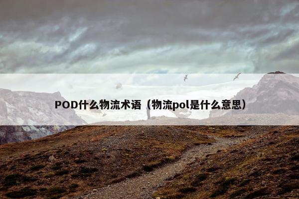 POD什么物流术语（物流pol是什么意思）