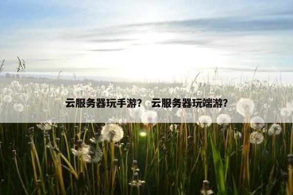 云服务器玩手游？ 云服务器玩端游？