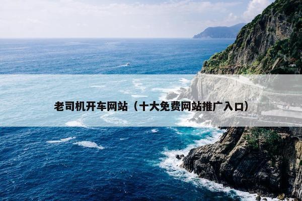 老司机开车网站（十大免费网站推广入口）