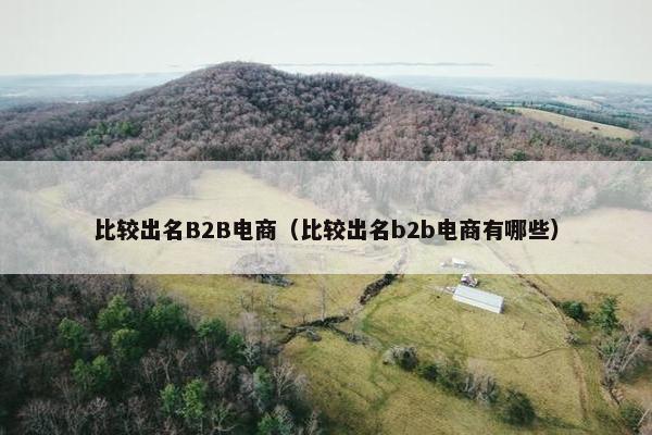 比较出名B2B电商（比较出名b2b电商有哪些）