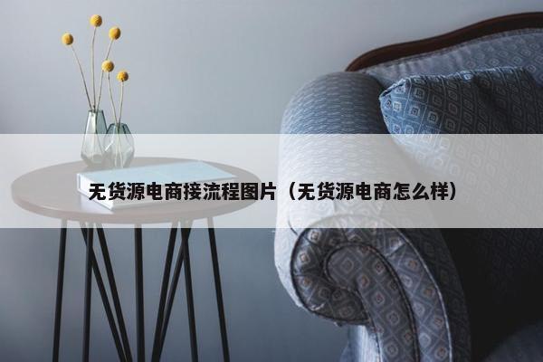 无货源电商接流程图片（无货源电商怎么样）