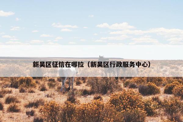 新吴区征信在哪拉（新吴区行政服务中心）