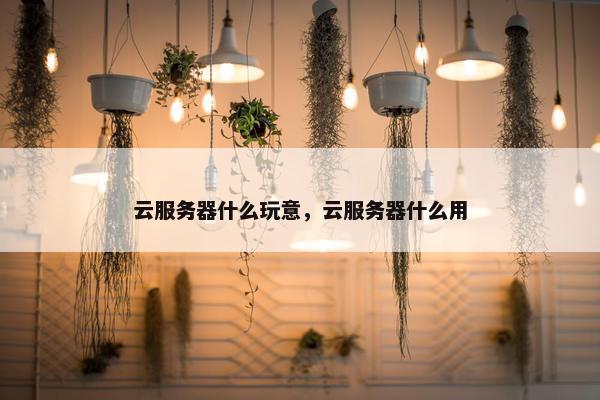 云服务器什么玩意，云服务器什么用