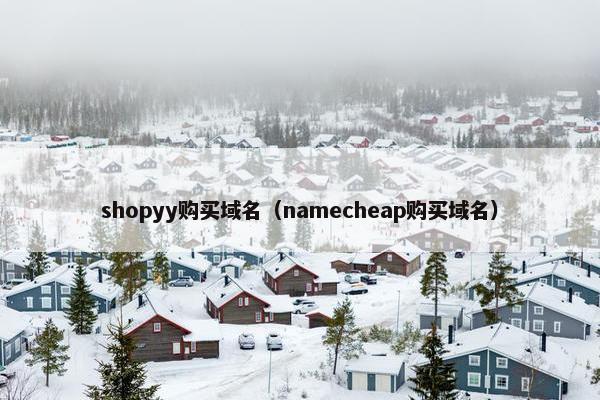 shopyy购买域名（namecheap购买域名）