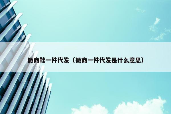 微商鞋一件代发（微商一件代发是什么意思）
