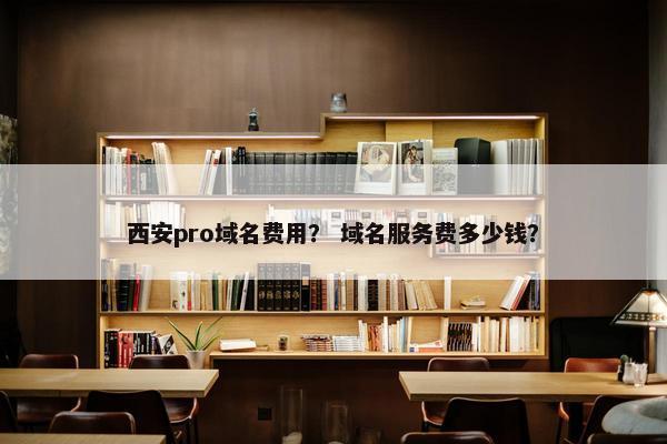 西安pro域名费用？ 域名服务费多少钱？