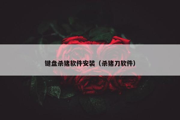 键盘杀猪软件安装（杀猪刀软件）