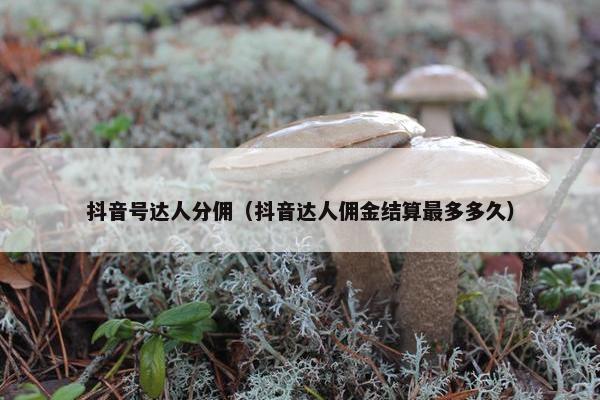 抖音号达人分佣（抖音达人佣金结算最多多久）