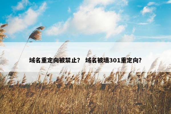 域名重定向被禁止？ 域名被墙301重定向？