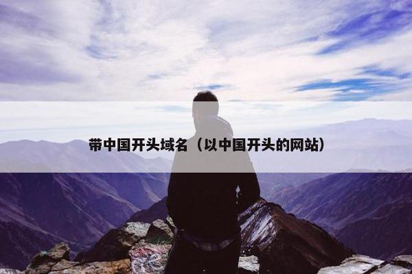 带中国开头域名（以中国开头的网站）