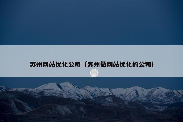 苏州网站优化公司（苏州做网站优化的公司）