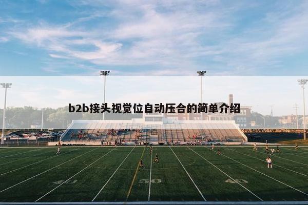 b2b接头视觉位自动压合的简单介绍