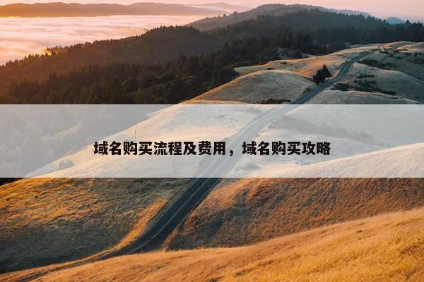 域名购买流程及费用，域名购买攻略