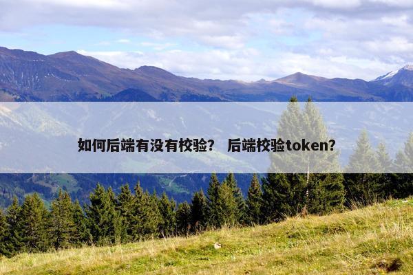 如何后端有没有校验？ 后端校验token？