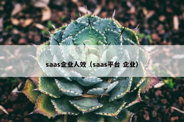 saas企业人效（saas平台 企业）