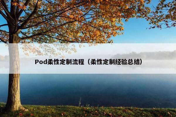 Pod柔性定制流程（柔性定制经验总结）