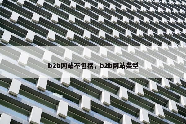 b2b网站不包括，b2b网站类型