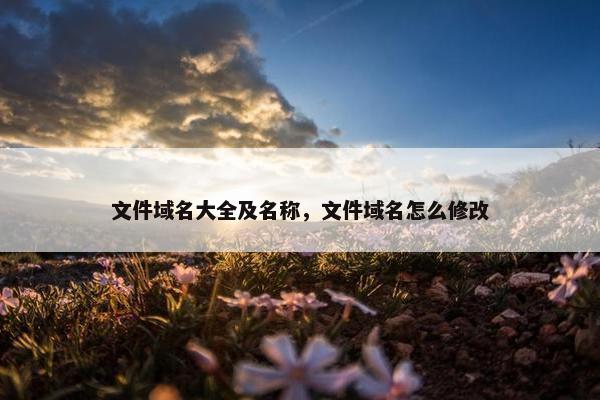 文件域名大全及名称，文件域名怎么修改