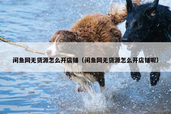 闲鱼网无货源怎么开店铺（闲鱼网无货源怎么开店铺呢）