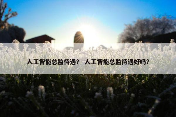 人工智能总监待遇？ 人工智能总监待遇好吗？