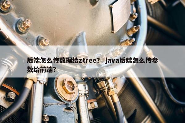 后端怎么传数据给ztree？ java后端怎么传参数给前端？