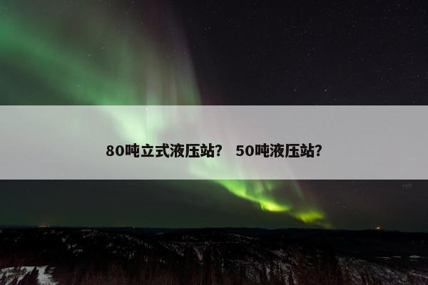 80吨立式液压站？ 50吨液压站？