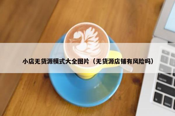 小店无货源模式大全图片（无货源店铺有风险吗）