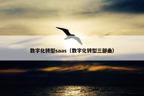数字化转型saas（数字化转型三部曲）
