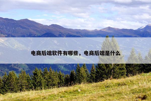 电商后端软件有哪些，电商后端是什么