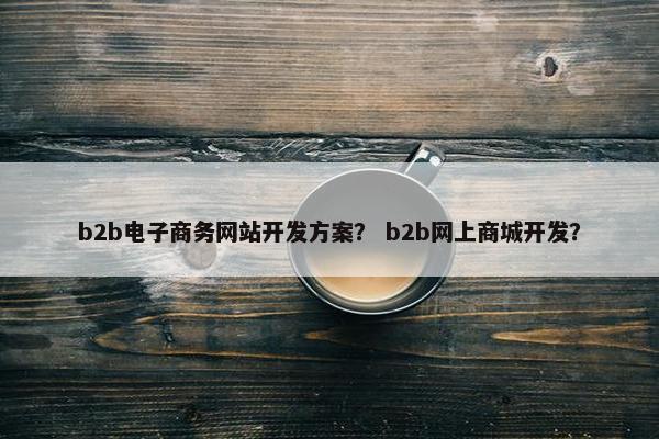 b2b电子商务网站开发方案？ b2b网上商城开发？