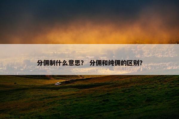 分佣制什么意思？ 分佣和纯佣的区别？