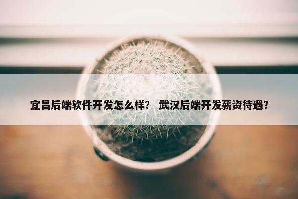 宜昌后端软件开发怎么样？ 武汉后端开发薪资待遇？