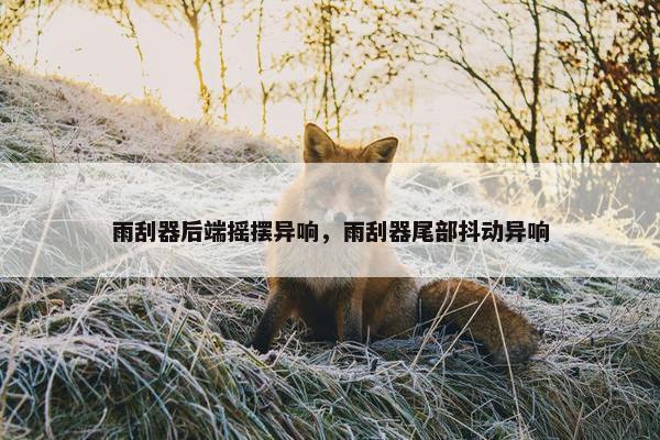 雨刮器后端摇摆异响，雨刮器尾部抖动异响