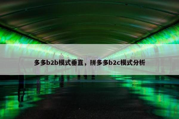多多b2b模式垂直，拼多多b2c模式分析