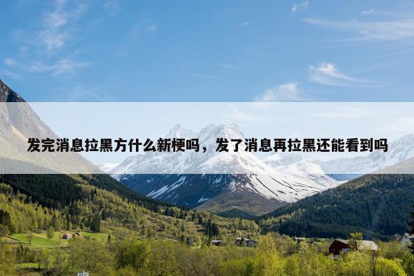 发完消息拉黑方什么新梗吗，发了消息再拉黑还能看到吗