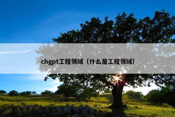 chgpt工程领域（什么是工程领域）
