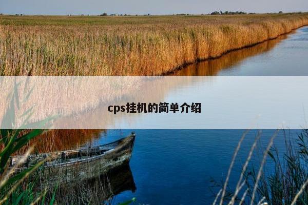 cps挂机的简单介绍